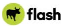 Flash logo